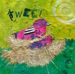 nesting birds 1416